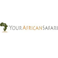Your African Safari